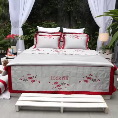 Edena Cotton Đặc Biệt 522