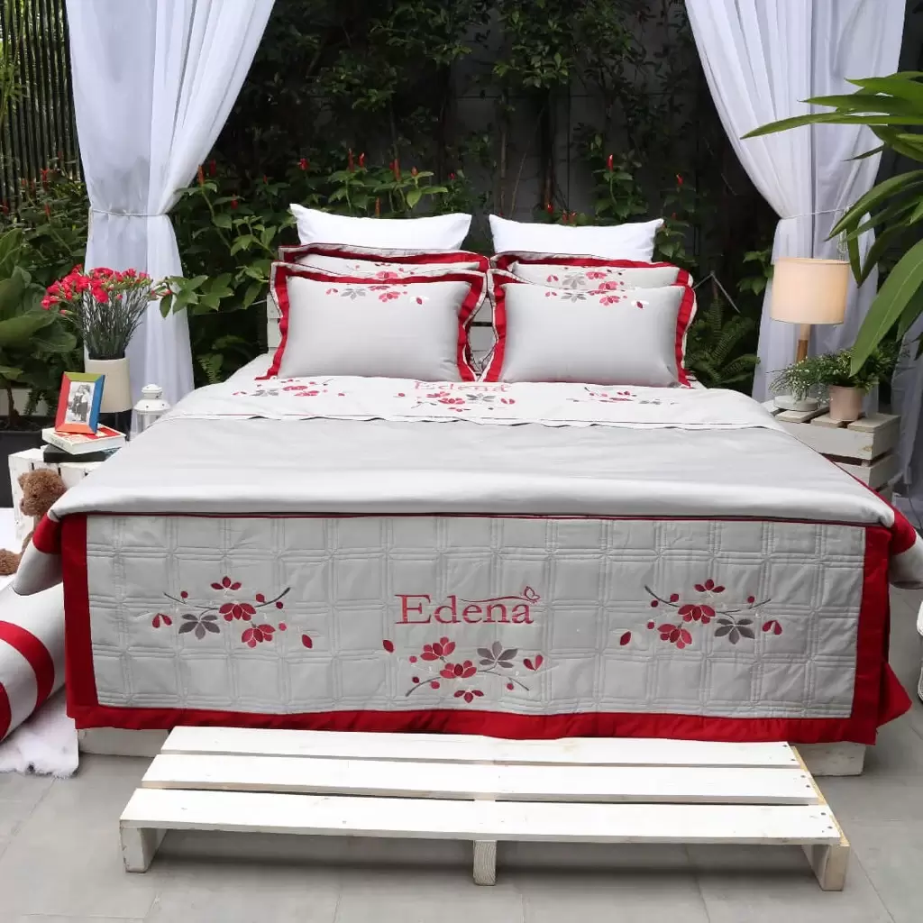 Edena Cotton Đặc Biệt 522